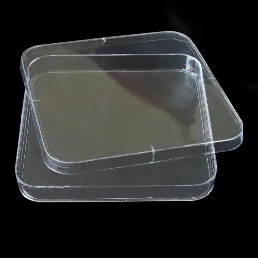 [SK-CELL-35] Square Petri Dishes